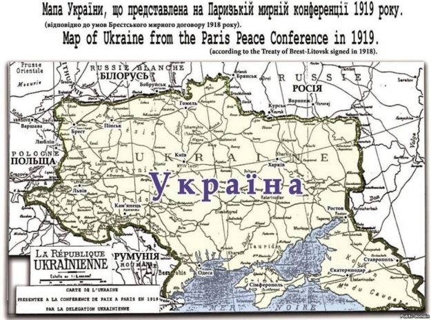 736352333